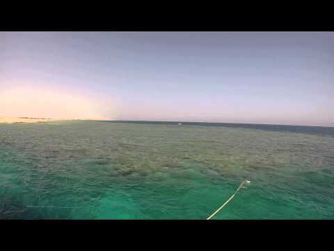 Video thumbnail — Endangered Dugong Marsa Alam Egypt November 2014