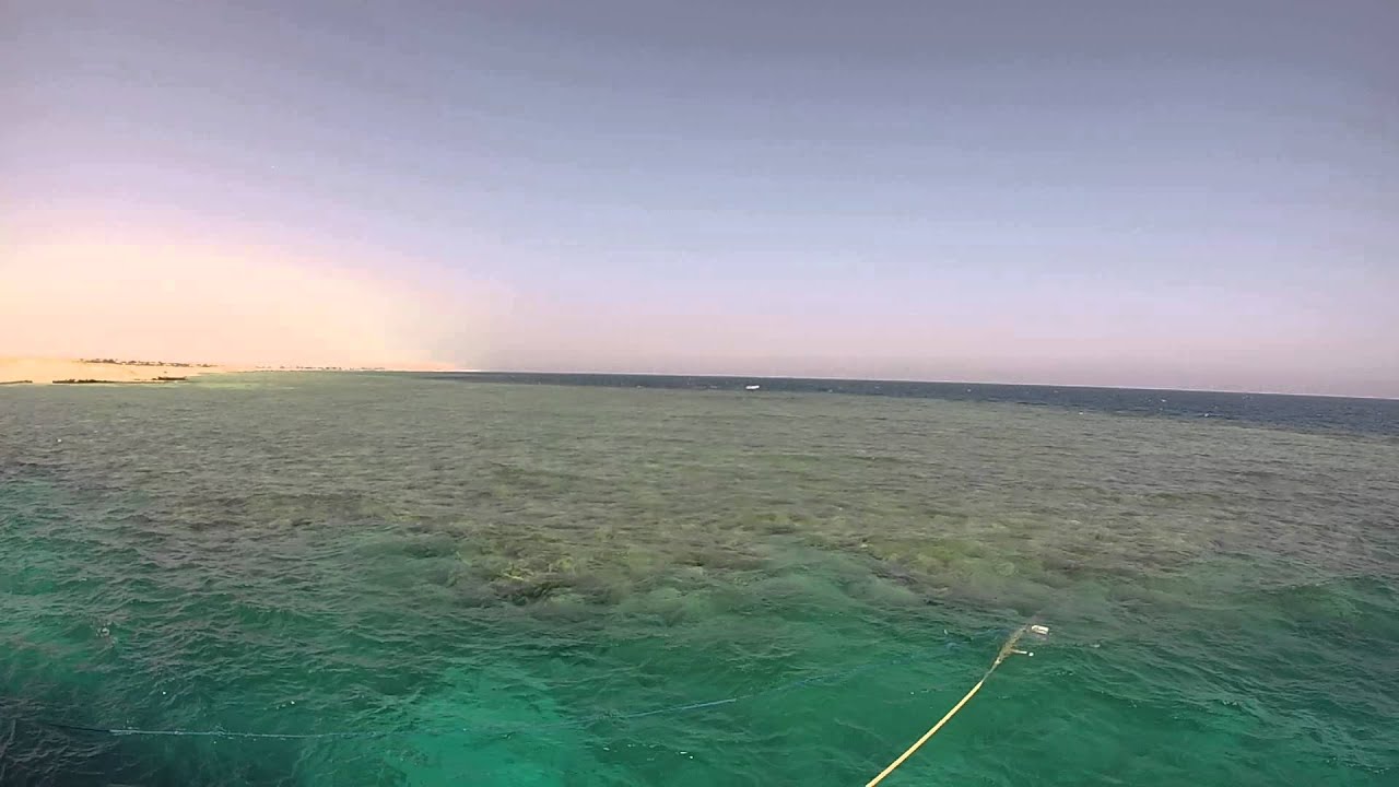 Video thumbnail — Endangered Dugong Marsa Alam Egypt November 2014