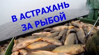 Подводная рыбалка в астрахани на раскатах
