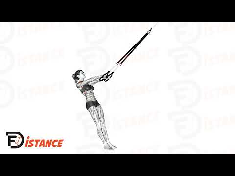 Exercice TRX rowing en Y