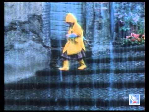 Barilla Spot: Gattino (1986)