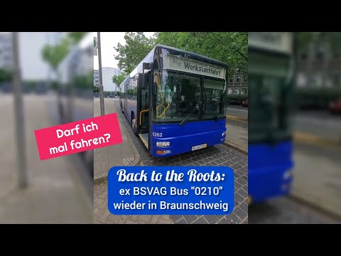 Back to the Roots: Alter BSVAG Bus "0210" wieder in Braunschweig - MAN NL263 A21 Probefahrt