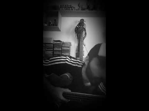 Mark Bass Super Synth - Prueba