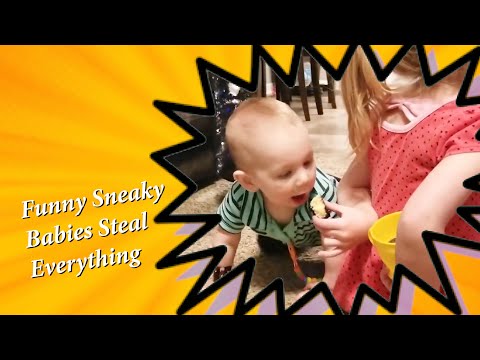 Funny Sneaky Babies Steal Everything | Cute Babies | Try Not To Laugh