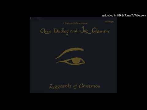 Anne Dudley & Jaz Coleman - Ziggarats of Cinnamon (The Cinnamon Love Mix)