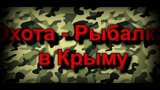 Ссылка