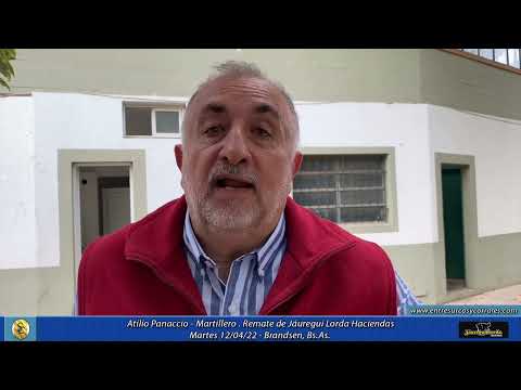 12-04-22 - Atilio Panaccio - Martillero - Remate de Jáuregui Lorda Haciendas  - Brandsen, Bs.As.