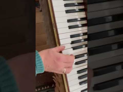 Hohner Pianet N image 14