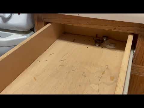 Kitchen Cabinets Full of Cockroaches in Ramsey, NJ