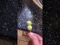 INSANE Frozen GRAPE Lifehack! #Shorts