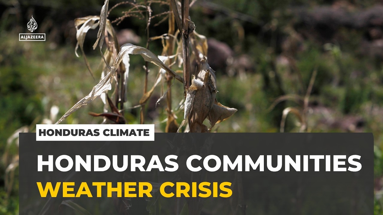 Honduras erratic weather: Indigenous communities battle climate crisis