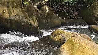 preview picture of video 'Dungri Falls : Amlasol : Belpahari : Jhargram Tourist Spot'