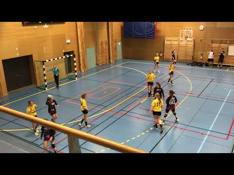 Semifinal: HK Malmö 1 - IK Sävehof 2, Andra halvleken