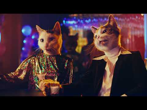 SLIDE™ Clumping Cat Litter from ARM & HAMMER™ TV Commercial- Slide out the Funk :15