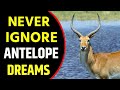What Does Antelope Dream Meaning | Dreaming of  Antelope | Antelope Dream Interpretation