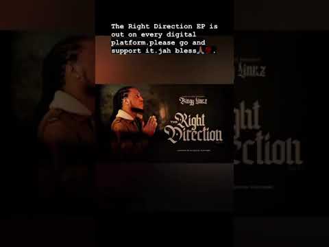BINGY LINKZ - THE RIGHT DIRECTION EP