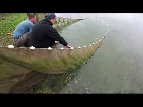 Масштабное пополнение в сибирских реках