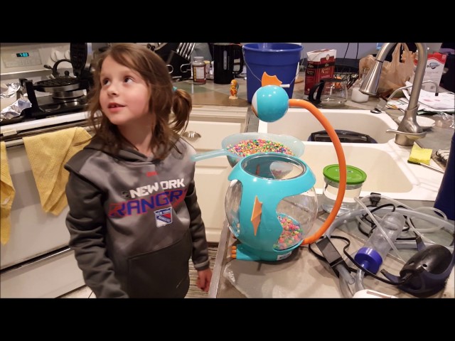 Hobby Betta Fish Tank Setup