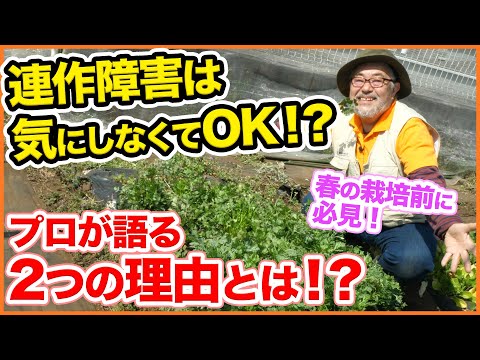 , title : '家庭菜園や農園栽培で連作障害は気にしなくてOK！？トマト、ナス、有機栽培のプロが語る２つの理由とはー  / Don't worry about continuous cropping problems'