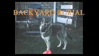 Backyard Burial Music Video