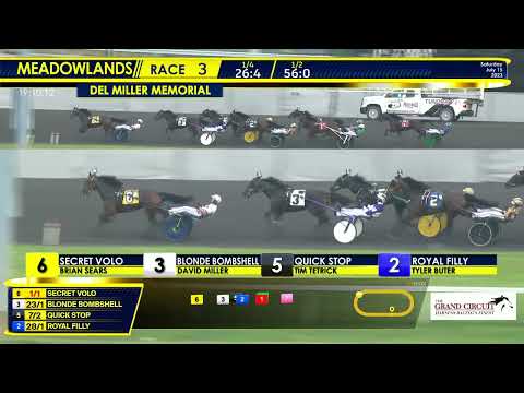 July 15, 2023 - Del Miller Memorial - 3 Year Old Filly Trot - Race 3
