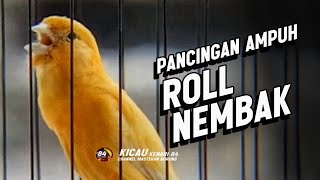 Download lagu #009 Suara Burung KENARI GACOR PANJANG Emosi Cuit Cuit NGEROL Cocok utk Masteran Murai Batu mp3 Download lagu #009 Suara Burung KENARI GACOR PANJANG Emosi Cuit Cuit NGEROL Cocok utk Masteran Murai Batu mp3