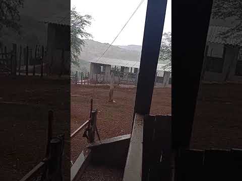 Chuva em Porteiras Ceará cariri 20/01/2026