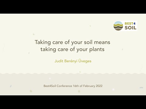 Taking care of your soil means taking care of your plants