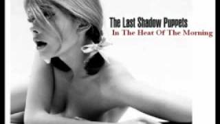 The Last Shadow Puppets   In the heat Of the morning
