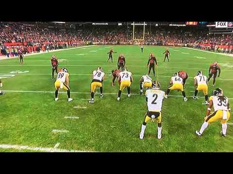 ....Steelers vs Browns Full Fight