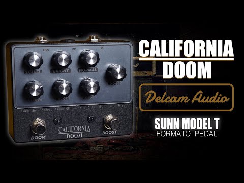 Delcam Audio California Doom based on SUNN Model T Preamp image 4
