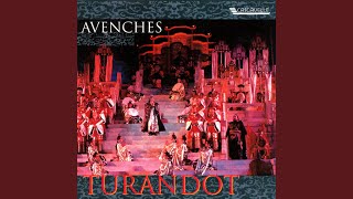 Turandot, Act III: "Nessun dorma !"