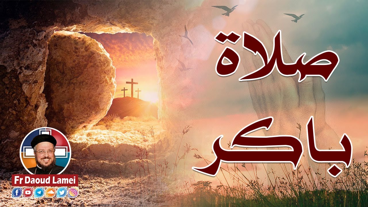 فيديو تفسير الكتاب المقدس | الكتاب المقدس رفيقي
