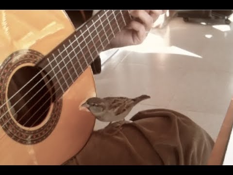 Te Vas by Carmen Cuesta