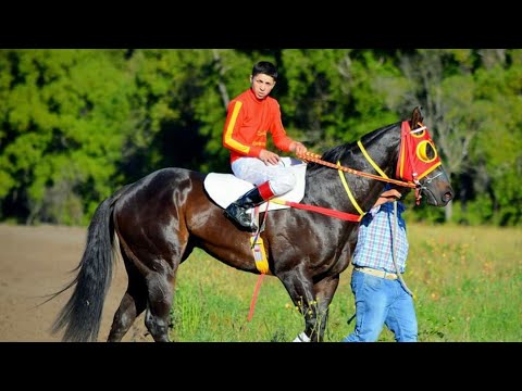 El Vikingo - Sebastián Almendras "El Cuarto De Milla" Corridos De Caballos
