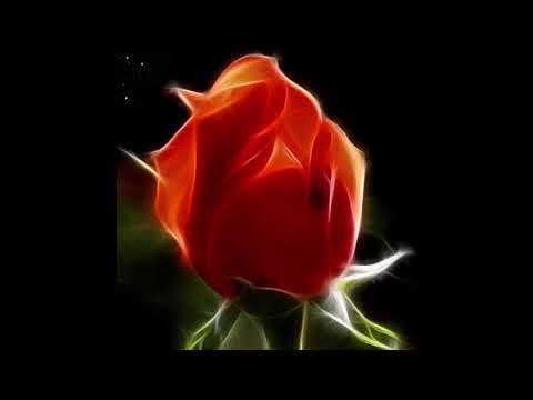 Indefinite Pitch premieres. Martyn Päsch - I Will See You Again [Dorian]