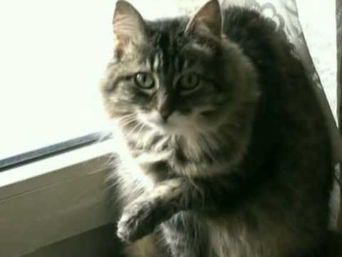 CLEOPATRE,  L'ELOGE DE LA PARESSE