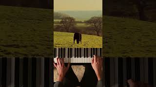 Download lagu Mariage dāAmour with beautiful sceneries from Rachel Hannah š #piano #romantic #slowlife mp3 Download lagu Mariage dāAmour with beautiful sceneries from Rachel Hannah š #piano #romantic #slowlife mp3