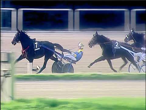 Trotto 07/12/2019 - 3ª corsa