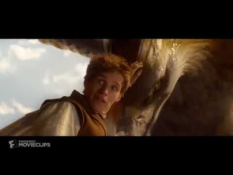 Fantastic Beasts and Where to Find Them (2016) - The Thunderbird Scene (2/9) |  ANYTHING ANYTIME