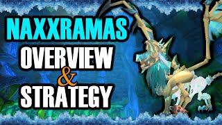 Naxxramas Overview & Strategy Discussion | Classic WoW