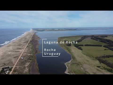 Laguna de Rocha