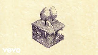 Kiran Leonard - Paralysed Force