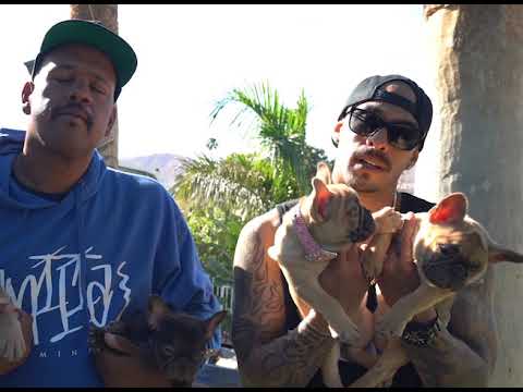 Mr. Criminal - Presents Crime Family Kennels