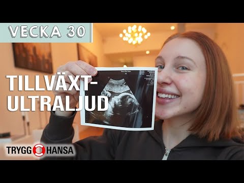 TILLVÄXTULTRALJUD 🤰– Molly Rosenström v30