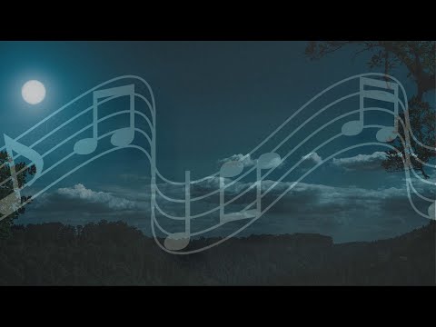 Thể hiện bởi Lưu Bích