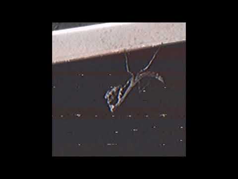 39. nadiak - Hang Loose [01.09.2017]