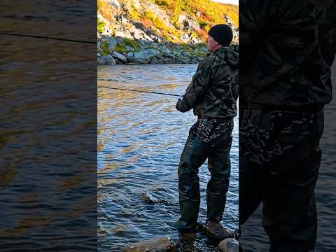 😳🐟 Уголовное дело за рыбалку: когда штрафы становятся статьёй