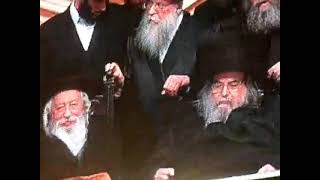 כ"ק מרן אדמו"ר שליט"א בשמחת החתונה בבית בעלזא, אב תשע''ג