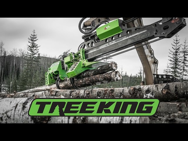 TREEKING